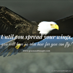 Spread Your Wings And Fly