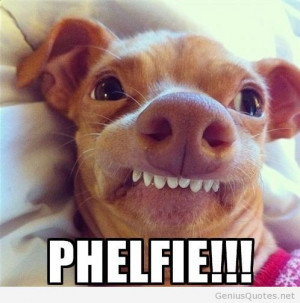 Posted by Quotes Sayings about 8 months ago