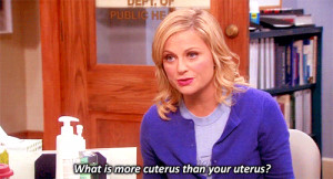 parks and recreation parks and rec amy poehler leslie knope