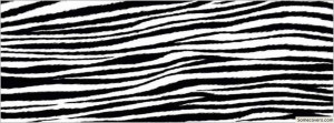 Face Book Covers Zebra Stripes Quote Texture