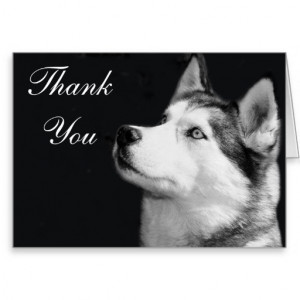 Thank You Siberian Husky Greeting Card
