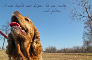 ... travel quote about coming home. This week is all about being home