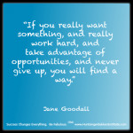 Jane Goodall Success Quote
