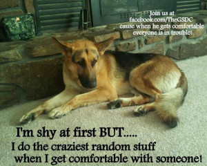 ... by Sonni Ann Gavin on German Shepherd: Quotes, Sayings & Signs,Ec