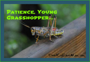 Ah, Young Grasshopper ... | Dear Kid, Love Mom