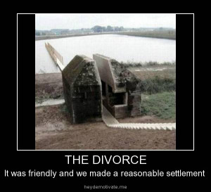 The Divorce - Funny pictures! Picture