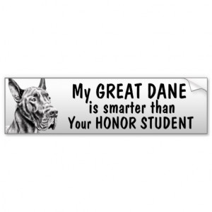 great_dane_smarter_than_honor_student_funny_bumper_sticker ...