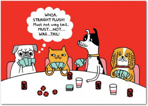 Shoebox: Poker Paws - Birthday Greeting Cards from Treat.com