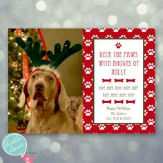Dog Christmas Card Sayings