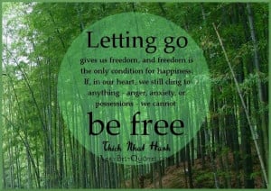 ... go quotes freedom quotes happiness quotes thich nhat hanh quotes