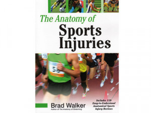 ... common sports injuries and ways to treat them many sports injuries are