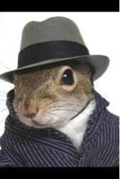 SquirrelQuotes