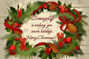 Merry Christmas Wishes Quotes to Friends and Family | Merry ...