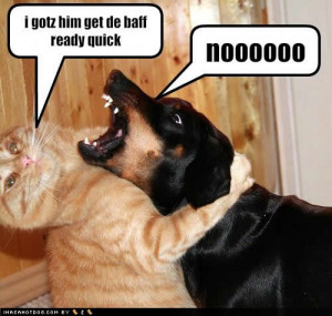 Dogs and Cats with Captions