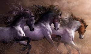 Horse Quotes Facebook Covers Hd Horse Wallpapers Horse Backgrounds ...