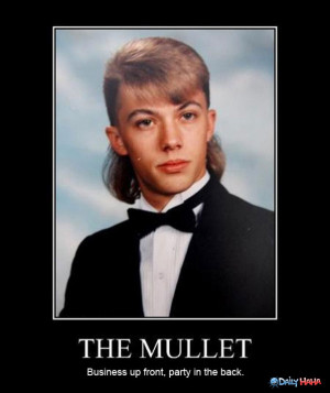 never underestimate the mullets versitile uses