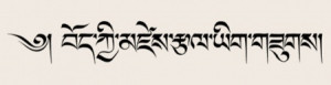 Different Tibetan script styles
