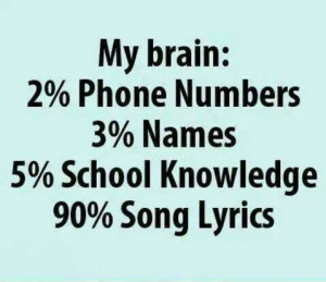 My Brain Percentages