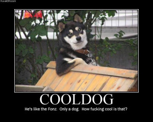 imagenes graciosas con frases para etiquetar cool dog 281x225
