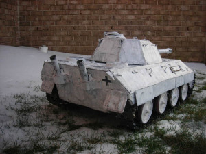 PA Panther in the Snow