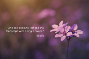 The 15 Greatest Spock Quotes As Motivational Posters