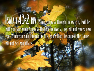 Labels: 7-ISAIAH VERSES