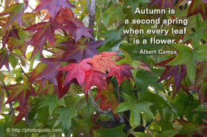 Autumn Quotes Famous Poems Sayings About Fall Pictures