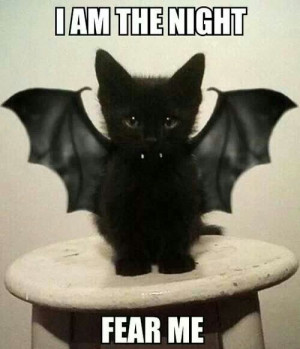 am the Night! Fear Me. #electrovista