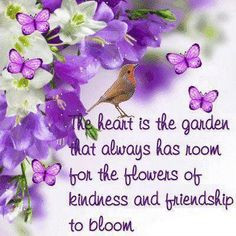 heart is the garden that always has room for the flowers of kindness ...