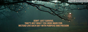 Don't just survive. That's not what you were made for. Instead live ...