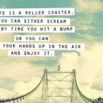 quote-life-is-a-roller-coaster-you-can-either-scream1