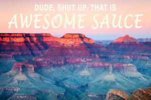 Motivational Photos + Andy Dwyer Quotes = Perfection