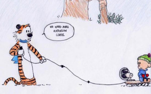 Calvin And Hobbes Quotes About Friendship