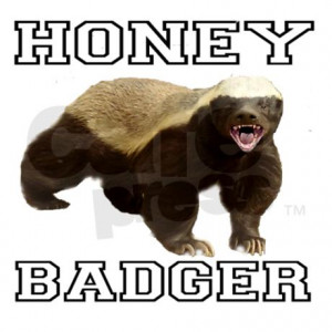 Funny Honey Badger License Plate Frame Height Width