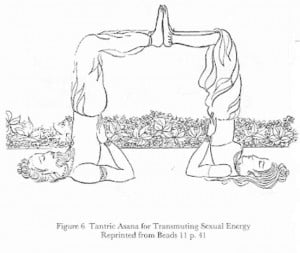 ... tantric yoga positions tantric yoga retreats and tantric yoga dvds