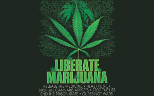Legalize marijuana 2012: Free the Weed