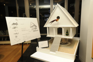 Baby, it’s Cold Outside: Architects for Animals + Shelters For ...