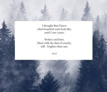 forest, overlay, pale, poem, poetic, poetry, soft grunge, woods