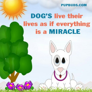 Pinned by Celine Brent