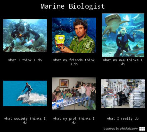 marine meme http uthinkido com what people think i do gallery job