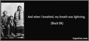 And when I breathed, my breath was lightning. - Black Elk