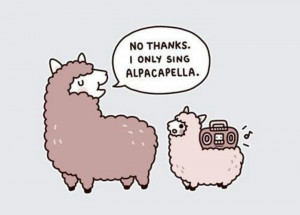 These alpaca jokes are really getting me!!