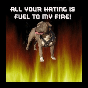 gotta Add free hater quotes pictures, minaj quotes about haters