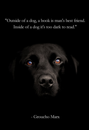 Dogs Man's Best Friend Quotes
