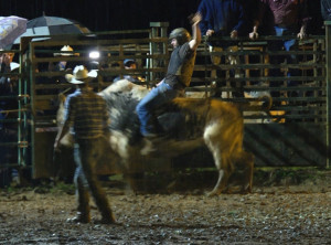 Shain Gandee, Buck Wild, Buckwild