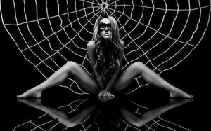 Normal is an illusion. What is normal to the spider is chaos to the ...
