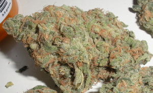 Submitted By: duplicity ( Member )