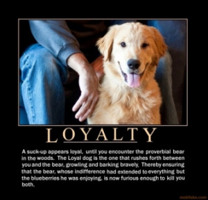 Loyalty dog