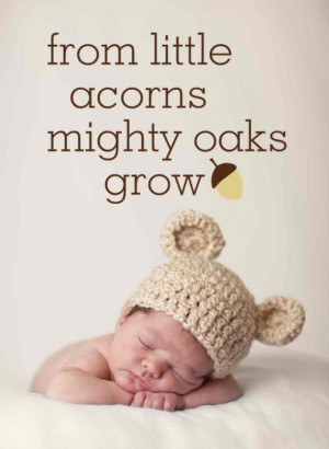 From Little Acorns Mighty Oaks Grow quote - vinyl lettering - CHOOSE ...