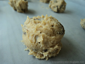 Bake for 9 to 11 minutes or until golden brown. Cool on baking sheets ...